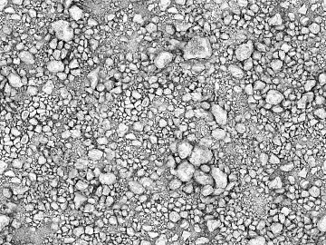 Black and White Bump texture (ID:ffaag50429)