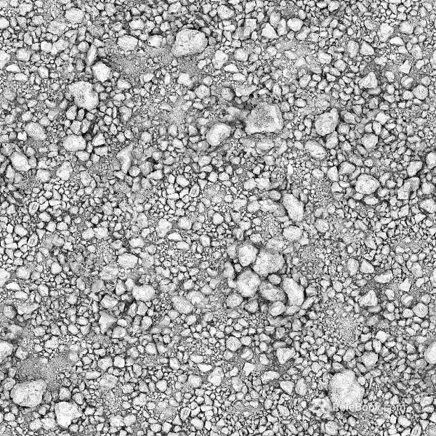 Black and White Bump texture