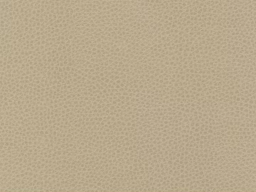 fine grain leather texture (ID:ffaeg90119)