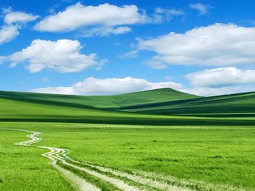 Wild Scenery texture (ID:ffacf8936)