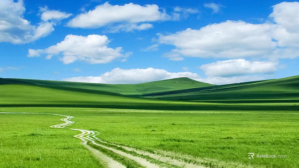 Wild Scenery texture