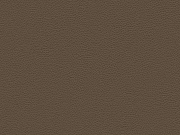fine grain leather texture (ID:ffaif1785)