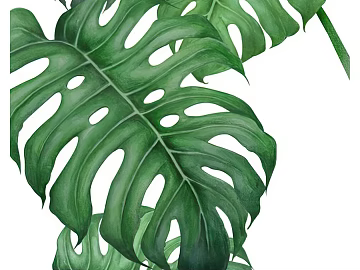 Plant painting 3d model
