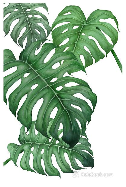 Plant painting texture