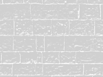 Black and White Bump texture (ID:ffach890306)