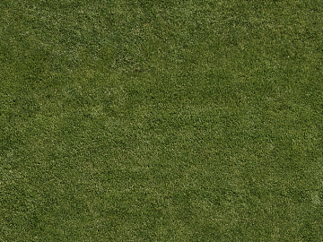 Turf texture (ID:ffajg06942)