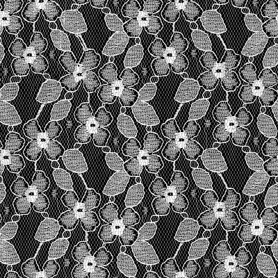 Lace Fabric