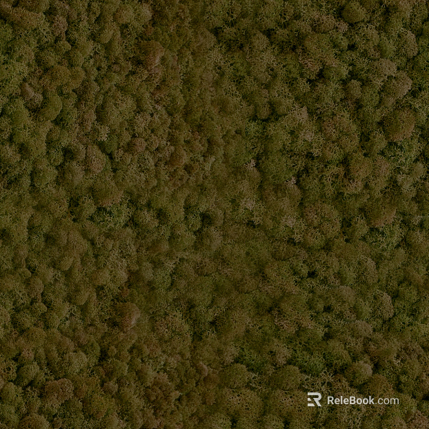 moss texture