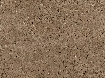 Mud 3d model