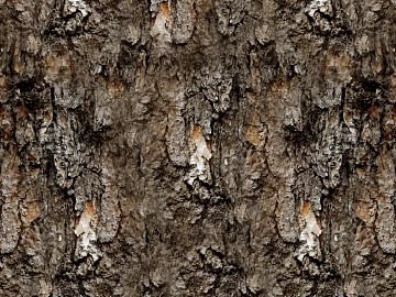 bark texture (ID:ffaif9607)
