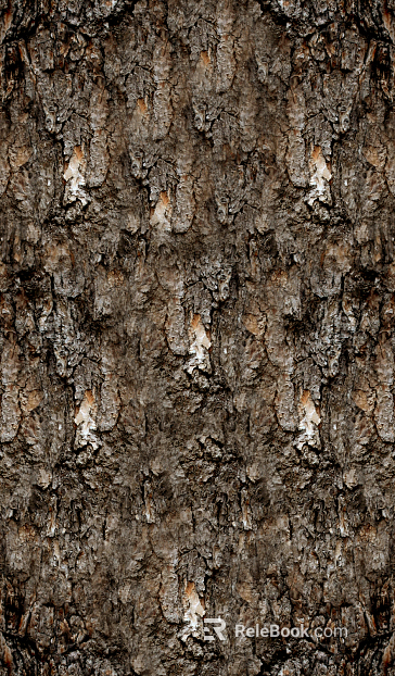 bark texture