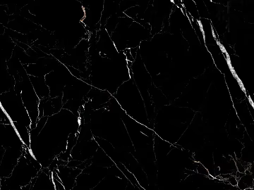 Mesh Marble Casa Sasha Black Marble Seamless texture (ID:ffajg54883)