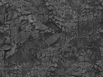 Black and White Bump texture (ID:ffach135716)