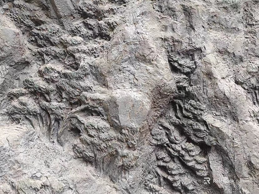 Rock wall texture