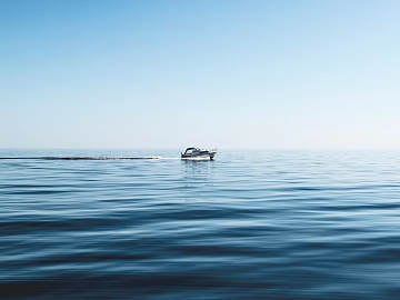 Wild Scenery texture (ID:ffach956965)