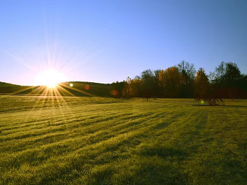 Nature Exterior Country Exterior Window Exterior Outdoor Landscape Exterior texture (ID:ffach137735)