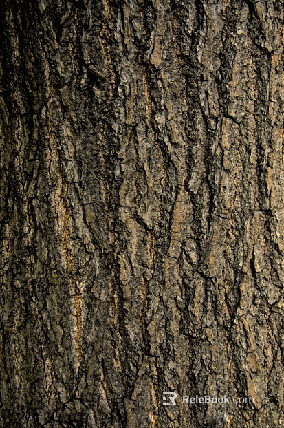 bark texture