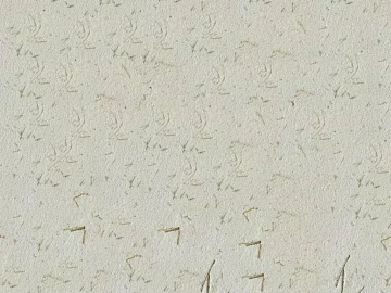 Cement ecological grass mud color exterior paint texture (ID:ffaeg22947)