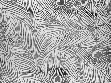 Black and white peacock feather pattern wallpaper texture (ID:ffaeh971639)