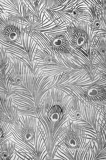 Black and white peacock feather pattern wallpaper texture
