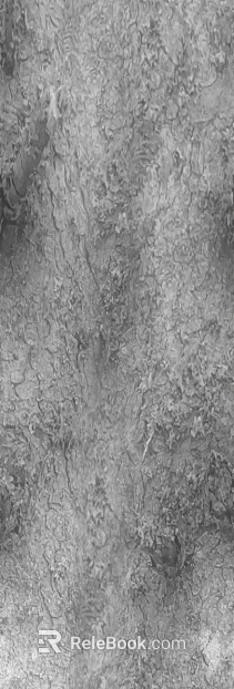 black and white bark texture
