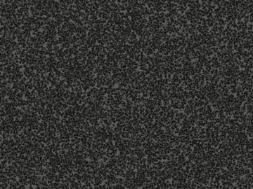 Granite 3d model