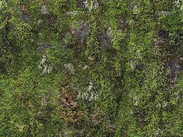 Turf texture (ID:ffaaf1099)