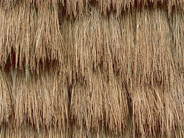 Thatched roof texture (ID:ffaeg01176)