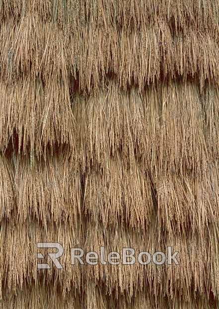 Thatched roof texture