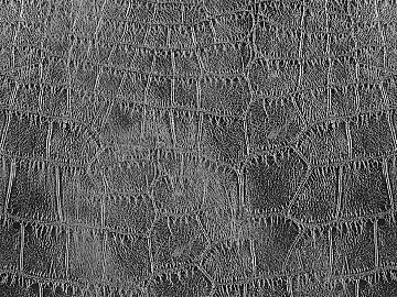 Black and White Bump texture (ID:ffaeg19993)
