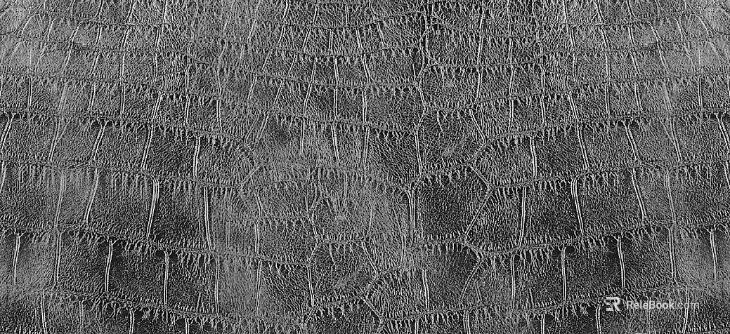 Black and White Bump texture