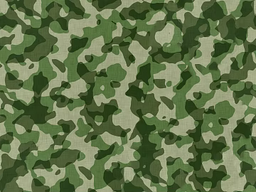 camouflage cloth pattern texture (ID:ffhbe348)