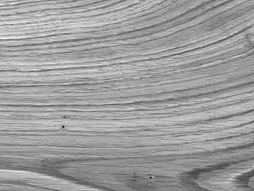 Wood grain texture (ID:ffaag47341)