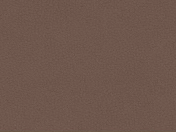 Coarse-grain leather texture (ID:ffadg50739)