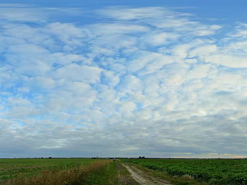 daytime sky texture (ID:ffaaf0461)