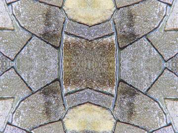 Stone Paving texture (ID:ffacg79808)