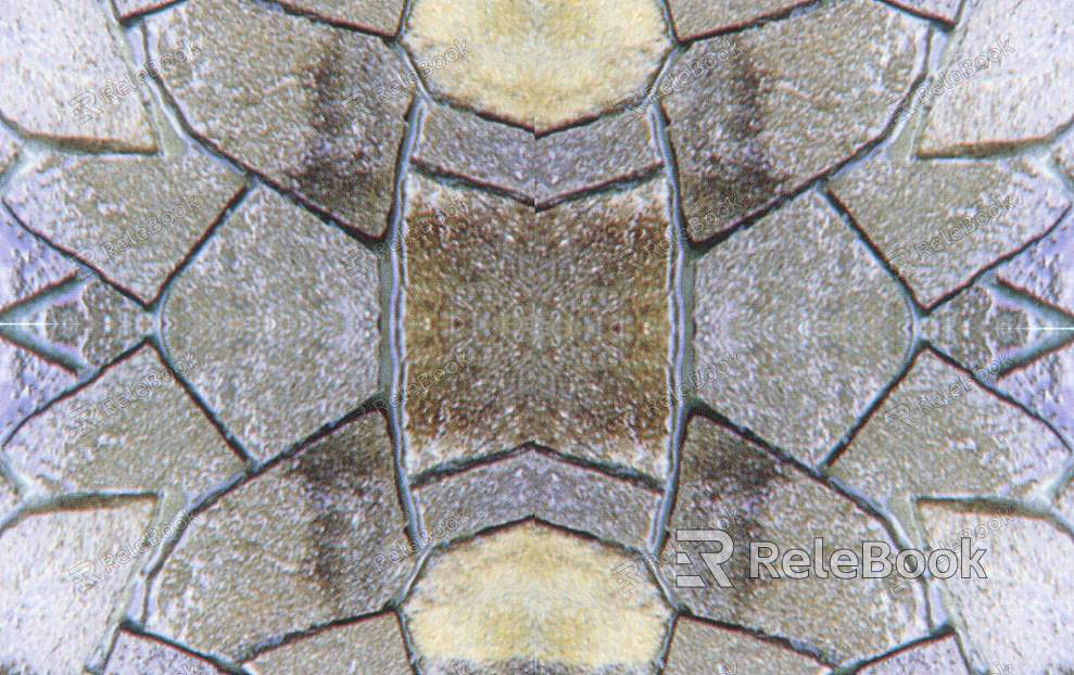 Close-up of Stone Paving, revealing a textured surface with irregular, interlocking stone pieces in various shades of grey and beige, creating a rustic and natural appearance.