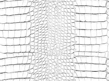 Black and White Bump texture (ID:ffaag98776)
