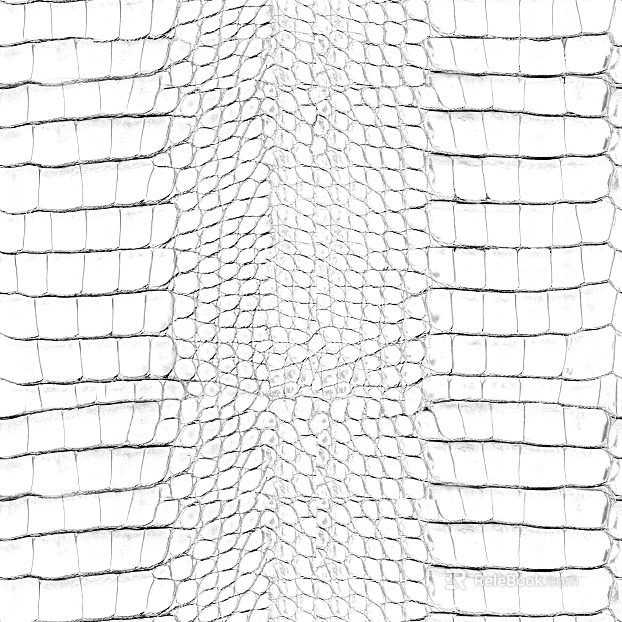 Black and White Bump texture