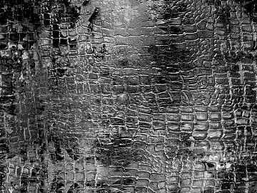 Coarse-grain leather texture (ID:ffhce856)