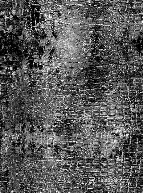 Coarse-grain leather texture