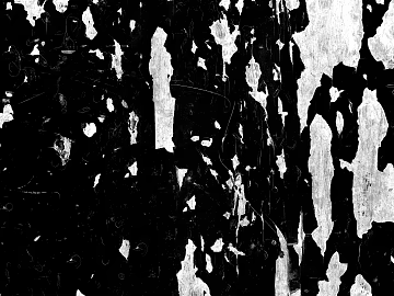 Black and White Bump texture (ID:ffach492384)