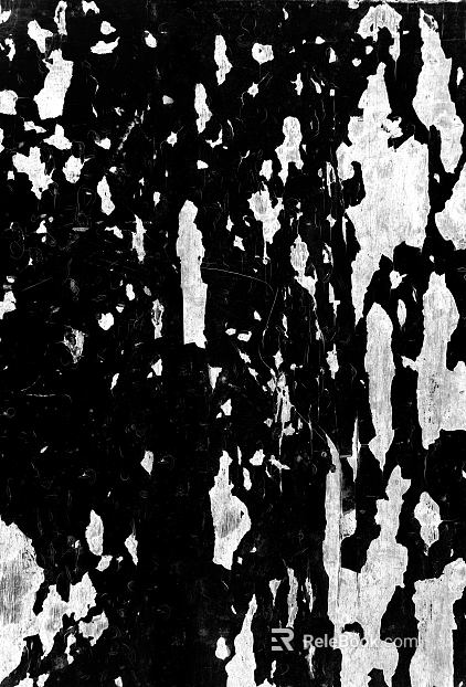 Black and White Bump texture