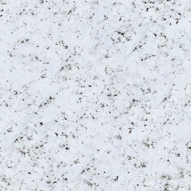 Snow texture
