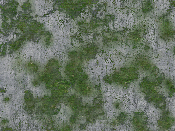 moss texture (ID:ffagg84338)