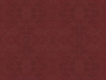 Coarse-grain leather texture (ID:ffacg39030)