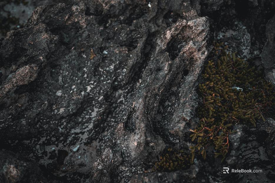 Rock texture