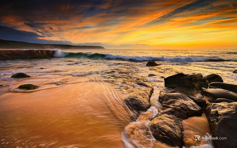 Wild Scenery texture