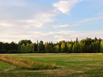 Wild Scenery texture (ID:ffach021006)