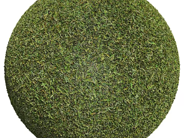 Grassland PBR texture (ID:ffach526481)